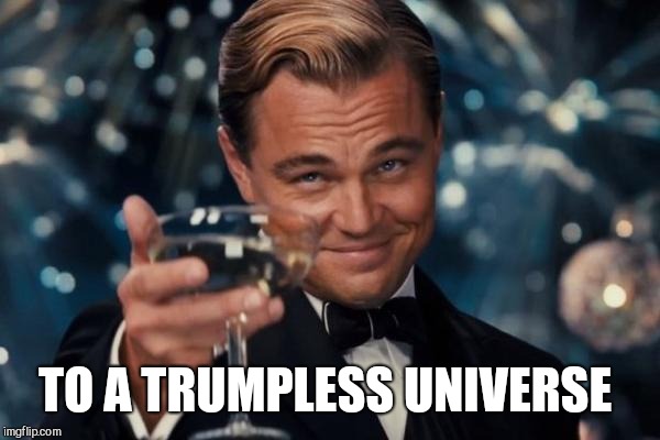 Leonardo Dicaprio Cheers Meme | TO A TRUMPLESS UNIVERSE | image tagged in memes,leonardo dicaprio cheers | made w/ Imgflip meme maker