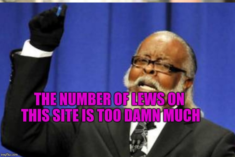 THE NUMBER OF LEWS ON THIS SITE IS TOO DAMN MUCH | image tagged in memes | made w/ Imgflip meme maker
