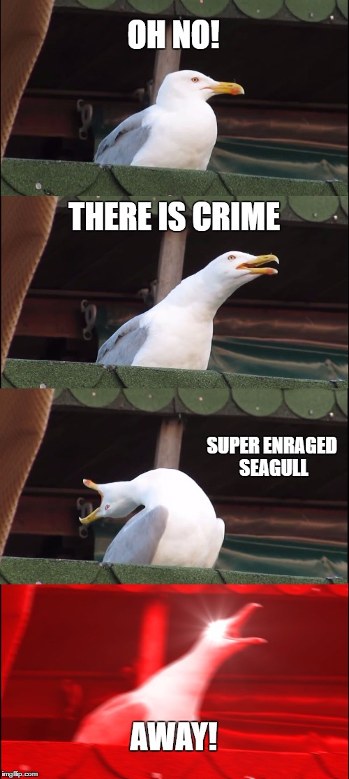 Super Enraged Seagull | OH NO! THERE IS CRIME; SUPER ENRAGED SEAGULL; AWAY! | image tagged in memes,inhaling seagull | made w/ Imgflip meme maker