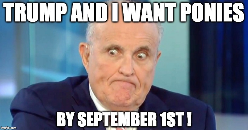 TRUMP AND I WANT PONIES; BY SEPTEMBER 1ST ! | image tagged in memes | made w/ Imgflip meme maker