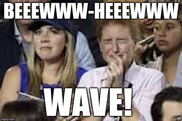 bew-hew wave | BEEEWWW-HEEEWWW; WAVE! | image tagged in whining liberals,stupid liberals,blue wave,democrat losers | made w/ Imgflip meme maker
