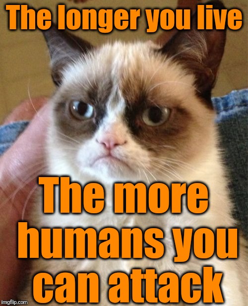 Grumpy Cat Meme | The longer you live The more humans you can attack | image tagged in memes,grumpy cat | made w/ Imgflip meme maker