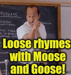 Substitute Teacher(You Done Messed Up A A Ron) | Loose rhymes with Moose and Goose! | image tagged in substitute teacheryou done messed up a a ron | made w/ Imgflip meme maker