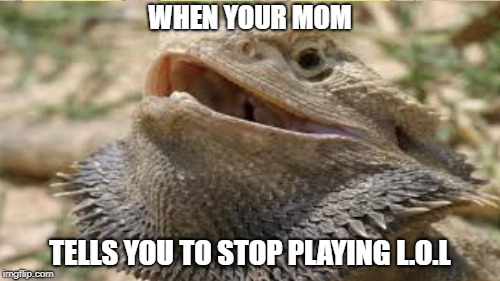 eh hem i shall not. | WHEN YOUR MOM; TELLS YOU TO STOP PLAYING L.O.L | image tagged in meme,bearded dragon,lol,no | made w/ Imgflip meme maker