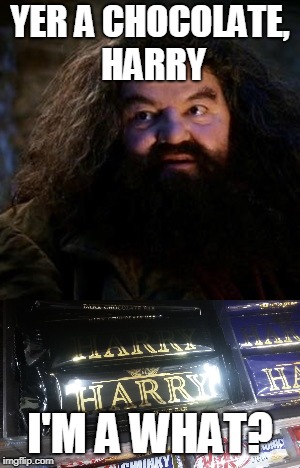 Yer a chocolate, harry | YER A CHOCOLATE, HARRY; I'M A WHAT? | image tagged in harry potter,harry,hagrid,hagrid meme,chocolate | made w/ Imgflip meme maker