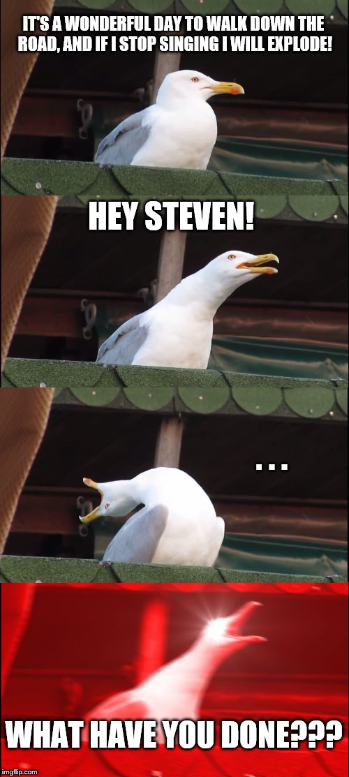 Inhaling Seagull | IT'S A WONDERFUL DAY TO WALK DOWN THE ROAD, AND IF I STOP SINGING I WILL EXPLODE! HEY STEVEN! . . . WHAT HAVE YOU DONE??? | image tagged in memes,inhaling seagull | made w/ Imgflip meme maker