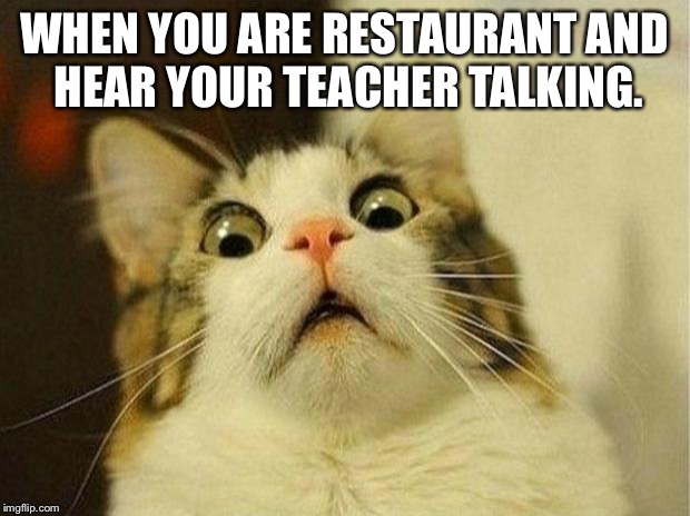 Scared Cat | WHEN YOU ARE RESTAURANT AND HEAR YOUR TEACHER TALKING. | image tagged in memes,scared cat | made w/ Imgflip meme maker