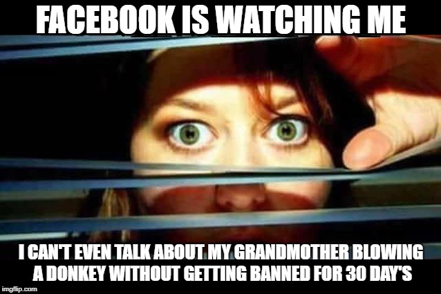 facebook jail |  FACEBOOK IS WATCHING ME; I CAN'T EVEN TALK ABOUT MY GRANDMOTHER BLOWING A DONKEY WITHOUT GETTING BANNED FOR 30 DAY'S | image tagged in facebook jail,banned | made w/ Imgflip meme maker