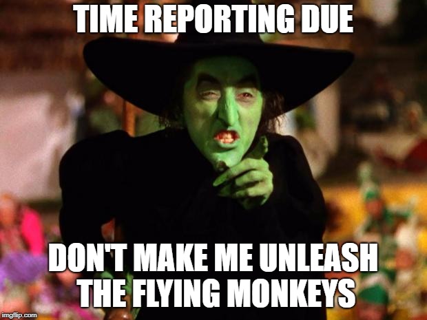 wicked witch  | TIME REPORTING DUE; DON'T MAKE ME UNLEASH THE FLYING MONKEYS | image tagged in wicked witch | made w/ Imgflip meme maker