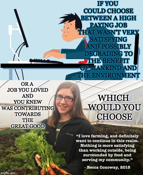 Which Would You Choose | IF YOU COULD CHOOSE BETWEEN A HIGH PAYING JOB THAT WASN'T VERY SATISFYING AND POSSIBLY DEGRADING TO THE BENEFIT OF MANKIND AND THE ENVIRONMENT; OR A JOB YOU LOVED AND YOU KNEW WAS CONTRIBUTING TOWARDS THE GREAT GOOD; WHICH WOULD YOU CHOOSE | image tagged in job,high paying,satisfying,benefit,mankind,environment | made w/ Imgflip meme maker