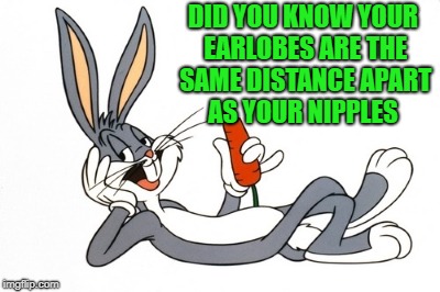 did you know? |  DID YOU KNOW YOUR EARLOBES ARE THE SAME DISTANCE APART AS YOUR NIPPLES | image tagged in bugs bunny,earlobes | made w/ Imgflip meme maker