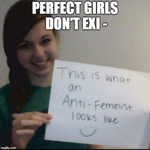 She looks pretty empowered! | PERFECT GIRLS DON'T EXI - | image tagged in memes,funny,feminists | made w/ Imgflip meme maker