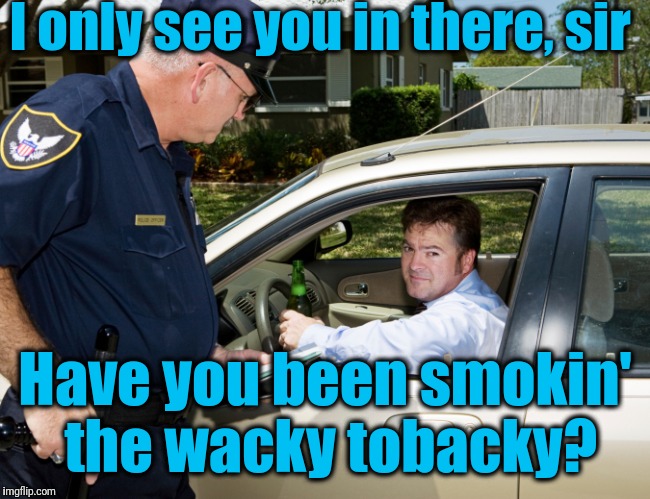 I only see you in there, sir Have you been smokin' the wacky tobacky? | made w/ Imgflip meme maker