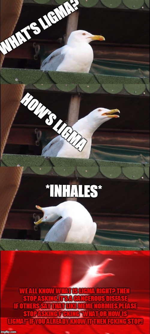 Inhaling Seagull Meme | WHAT'S LIGMA? HOW'S LIGMA; *INHALES*; WE ALL KNOW WHAT IS LIGMA RIGHT?
THEN STOP ASKING,IT'S A CANCEROUS DISEASE IF OTHERS SAY THAT LIKE MEME NORMIES,PLEASE STOP ASKING F*CKING "WHAT OR HOW IS LIGMA!" IF YOU ALREADY KNOW IT THEN FCKING STOP! | image tagged in memes,inhaling seagull | made w/ Imgflip meme maker
