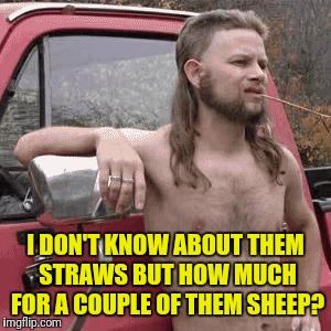 almost redneck | I DON'T KNOW ABOUT THEM STRAWS BUT HOW MUCH FOR A COUPLE OF THEM SHEEP? | image tagged in almost redneck | made w/ Imgflip meme maker