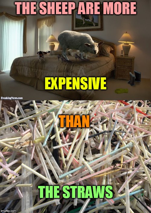 The Straw Racket Imgflip