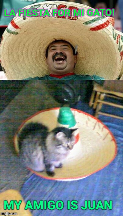 Gato &  Juan | LA FIESTA FOR MI GATO! MY AMIGO IS JUAN | image tagged in memes,funny memes,anti joke chicken | made w/ Imgflip meme maker