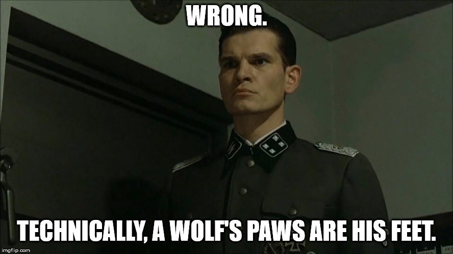 Obvious Otto Günsche | WRONG. TECHNICALLY, A WOLF'S PAWS ARE HIS FEET. | image tagged in obvious otto gnsche | made w/ Imgflip meme maker