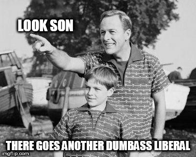 Look Son | LOOK SON; THERE GOES ANOTHER DUMBASS LIBERAL | image tagged in memes,look son | made w/ Imgflip meme maker