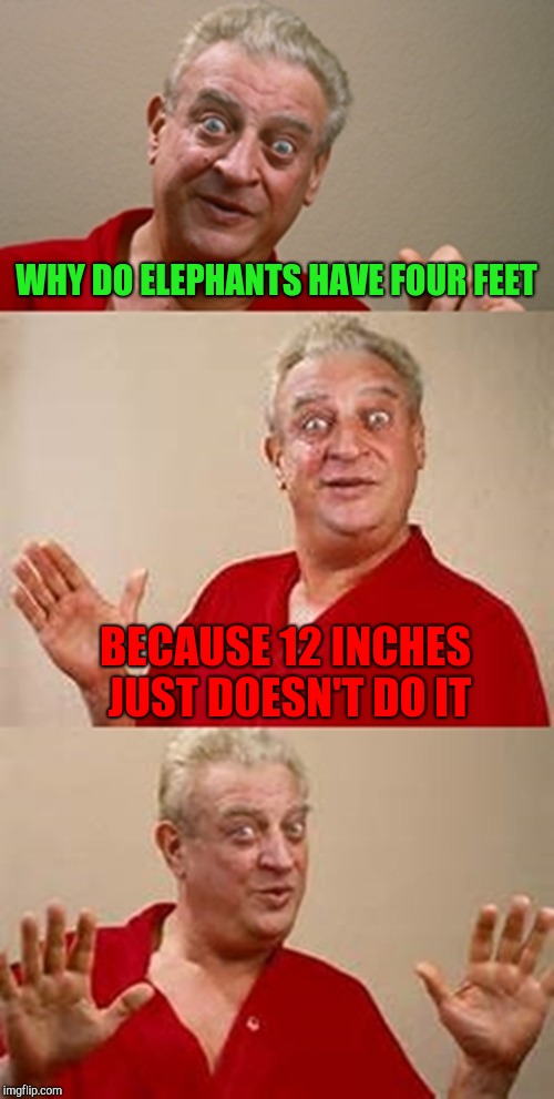 bad pun Dangerfield  | WHY DO ELEPHANTS HAVE FOUR FEET BECAUSE 12 INCHES JUST DOESN'T DO IT | image tagged in bad pun dangerfield | made w/ Imgflip meme maker