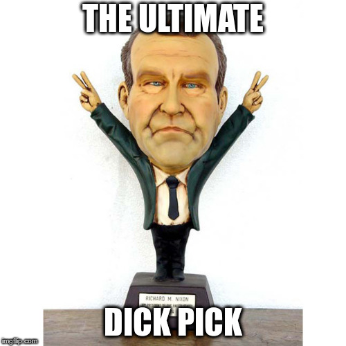 THE ULTIMATE; DICK PICK | image tagged in dick pic | made w/ Imgflip meme maker