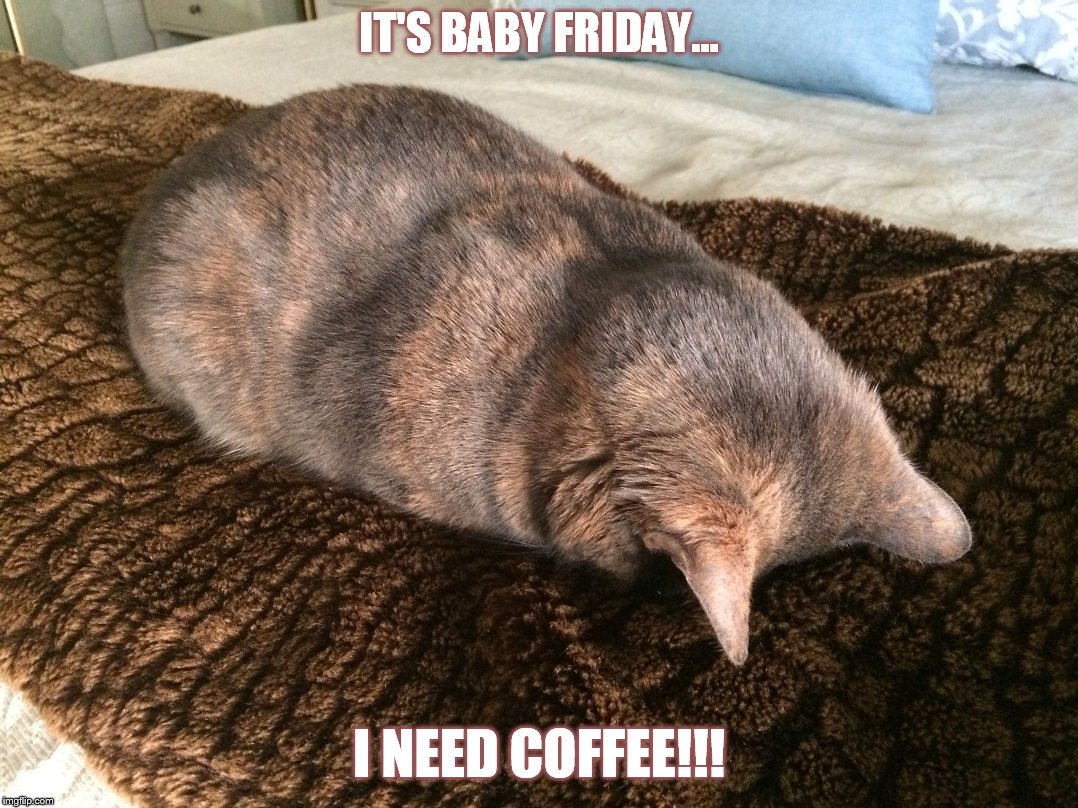 IT'S BABY FRIDAY... I NEED COFFEE!!! | image tagged in coffee | made w/ Imgflip meme maker