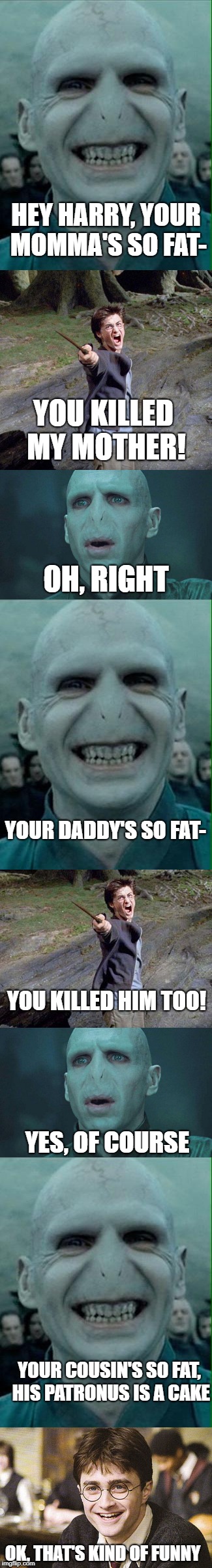 Can't argue with that one. | HEY HARRY, YOUR MOMMA'S SO FAT-; YOU KILLED MY MOTHER! OH, RIGHT; YOUR DADDY'S SO FAT-; YOU KILLED HIM TOO! YES, OF COURSE; YOUR COUSIN'S SO FAT, HIS PATRONUS IS A CAKE; OK, THAT'S KIND OF FUNNY | image tagged in memes,funny,harry potter,lord voldemort,yo momma so fat | made w/ Imgflip meme maker