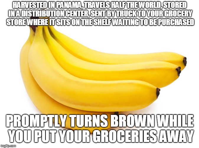 IT'S BANANAS | HARVESTED IN PANAMA, TRAVELS HALF THE WORLD, STORED IN A DISTRIBUTION CENTER, SENT BY TRUCK TO YOUR GROCERY STORE WHERE IT SITS ON THE SHELF WAITING TO BE PURCHASED; PROMPTLY TURNS BROWN WHILE YOU PUT YOUR GROCERIES AWAY | image tagged in bananas | made w/ Imgflip meme maker