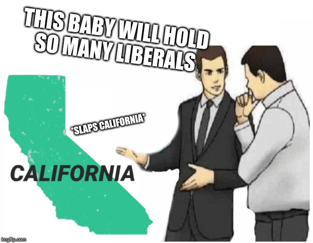 Car Salesman Slaps Hood Meme | THIS BABY WILL HOLD SO MANY LIBERALS; *SLAPS CALIFORNIA* | image tagged in car salesman slaps hood of car | made w/ Imgflip meme maker