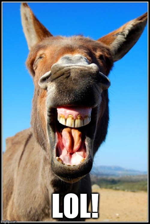 Happy Donkey | LOL! | image tagged in happy donkey | made w/ Imgflip meme maker