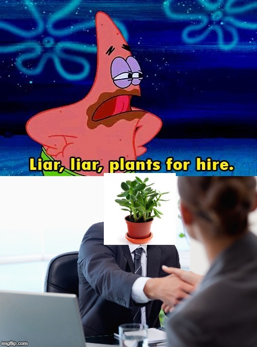 Plants for hire | image tagged in liar | made w/ Imgflip meme maker