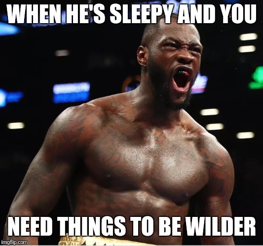 WHEN HE'S SLEEPY AND YOU; NEED THINGS TO BE WILDER | image tagged in wilder | made w/ Imgflip meme maker