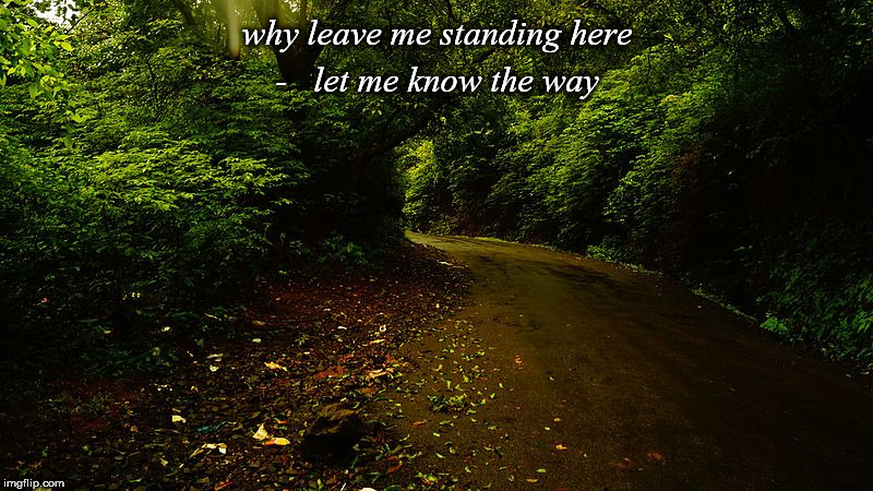 The Long And Winding Road | why leave me standing here -   let me know the way | image tagged in philosophy dinosaur | made w/ Imgflip meme maker