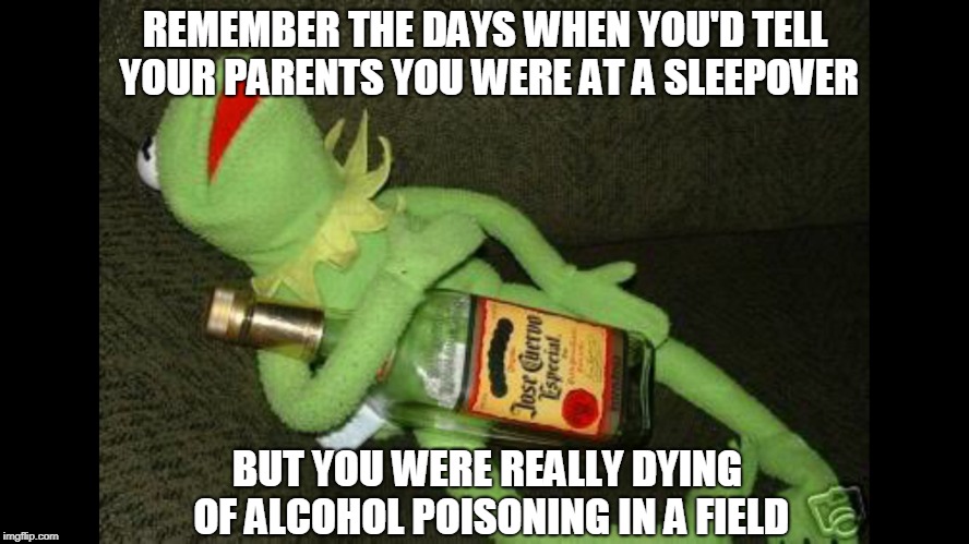 Those were the days | REMEMBER THE DAYS WHEN YOU'D TELL YOUR PARENTS YOU WERE AT A SLEEPOVER; BUT YOU WERE REALLY DYING OF ALCOHOL POISONING IN A FIELD | image tagged in kermit alcohol,so true memes | made w/ Imgflip meme maker