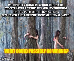 California environmental management  | WILDFIRES RAGING THROUGH THE STATE, TEMPERATURES IN THE 90'S AND NO THINNING OF OUR PRECIOUS FORESTS...LET'S GET NAKED AND LIGHT UP SOME MEDICINAL WEED! WHAT COULD POSSIBLY GO WRONG? | image tagged in california environmental management,natural resources,bad management,stupidity | made w/ Imgflip meme maker
