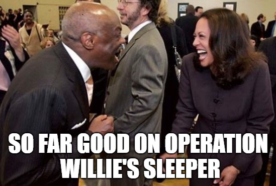 Willie and Kamala | SO FAR GOOD ON OPERATION WILLIE'S SLEEPER | image tagged in willie and kamala,kamala harris | made w/ Imgflip meme maker