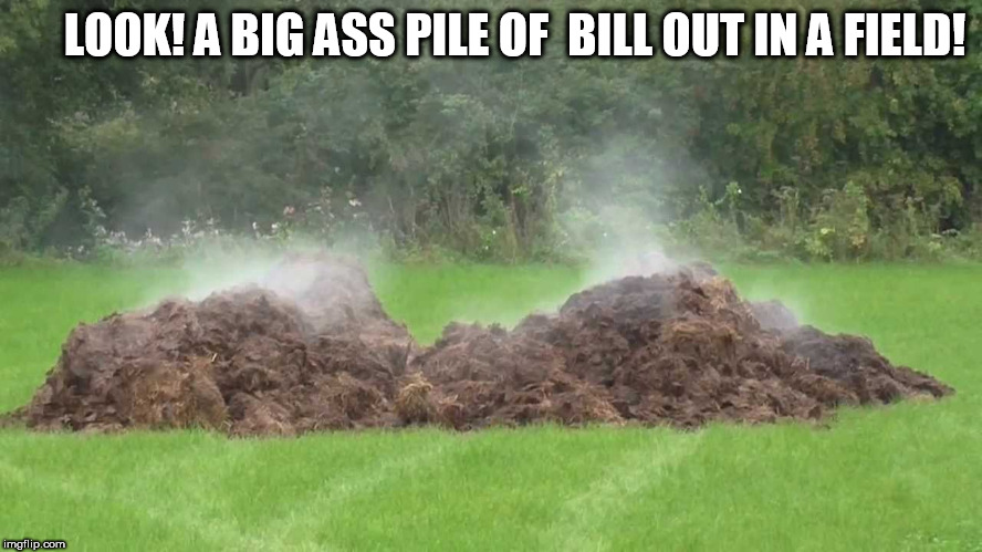 LOOK! A BIG ASS PILE OF  BILL OUT IN A FIELD! | made w/ Imgflip meme maker
