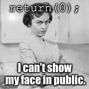 retro angry mom | return(0);; I can’t show my face in public. | image tagged in retro angry mom | made w/ Imgflip meme maker