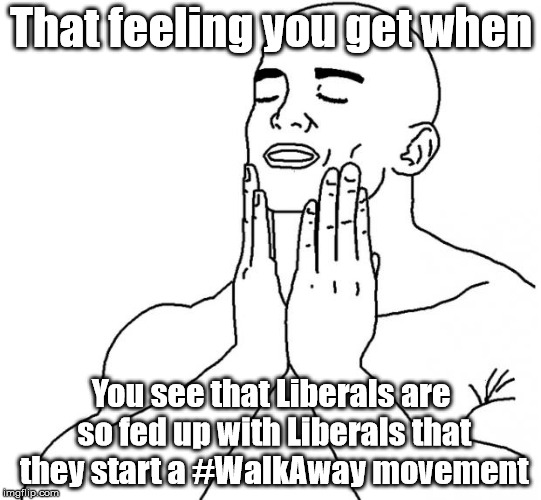 Welcome to the Right side (get it?) |  That feeling you get when; You see that Liberals are so fed up with Liberals that they start a #WalkAway movement | image tagged in that feeling when | made w/ Imgflip meme maker