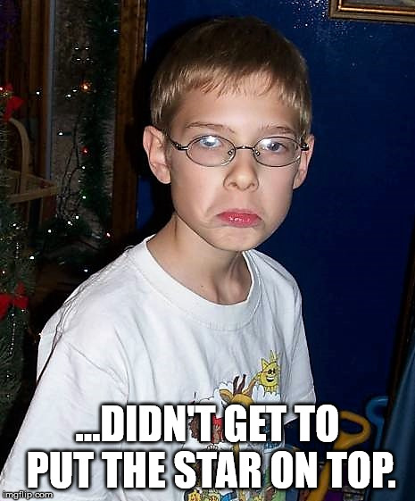 christmasgrump | ...DIDN'T GET TO PUT THE STAR ON TOP. | image tagged in christmasgrump | made w/ Imgflip meme maker