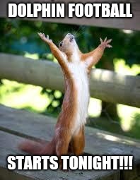 Praise Squirrel | DOLPHIN FOOTBALL; STARTS TONIGHT!!! | image tagged in praise squirrel | made w/ Imgflip meme maker