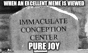 imconcenter | WHEN AN EXCELLENT MEME IS VIEWED PURE JOY | image tagged in imconcenter | made w/ Imgflip meme maker