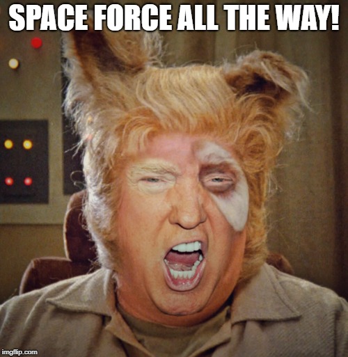 Space Force | SPACE FORCE ALL THE WAY! | image tagged in donald trump | made w/ Imgflip meme maker