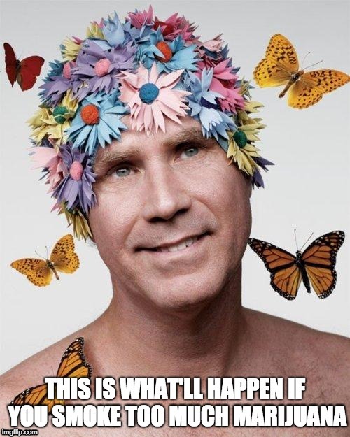 Drugs are Bad | image tagged in drugs are bad,memes,marijuana,will ferrell,420 | made w/ Imgflip meme maker