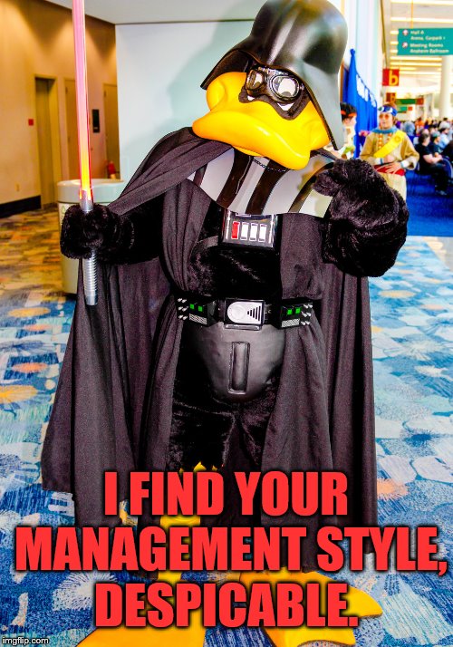 Mash up of characters | I FIND YOUR MANAGEMENT STYLE, DESPICABLE. | image tagged in meme,star wars,looney tunes,darth vader | made w/ Imgflip meme maker