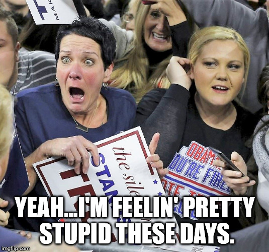 Trump supporters | YEAH...I'M FEELIN' PRETTY STUPID THESE DAYS. | image tagged in trump supporters | made w/ Imgflip meme maker