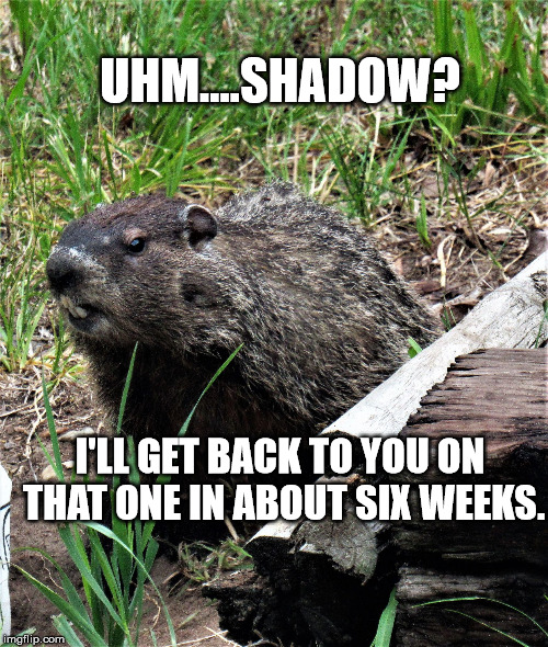 wouldchuck | UHM....SHADOW? I'LL GET BACK TO YOU ON THAT ONE IN ABOUT SIX WEEKS. | image tagged in wouldchuck | made w/ Imgflip meme maker