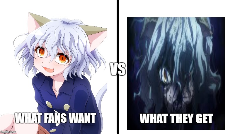 hxh fun fact | VS; WHAT THEY GET; WHAT FANS WANT | image tagged in hunter x hunter,hxh,neferpitou,pitou,anime | made w/ Imgflip meme maker