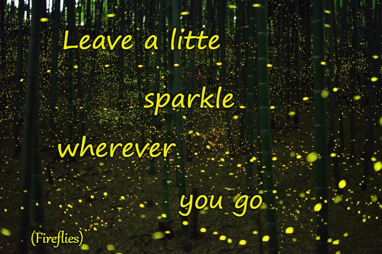 Words to Live By Leave A Little Sparkle Wherever You Go | Leave a litte; sparkle; wherever; you go; (Fireflies) | image tagged in bible,holy bible,holy spirit,bible verse,verse,god | made w/ Imgflip meme maker