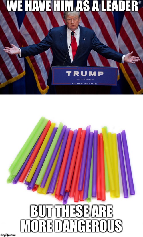 WE HAVE HIM AS A LEADER; BUT THESE ARE MORE DANGEROUS | image tagged in donald trump,straws,straw ban | made w/ Imgflip meme maker